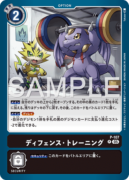 P-107ディフェンス・トレーニング