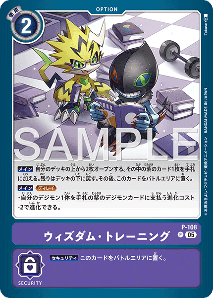 P-108ウィズダム・トレーニング