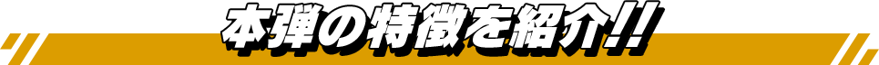 本弾の特徴を紹介