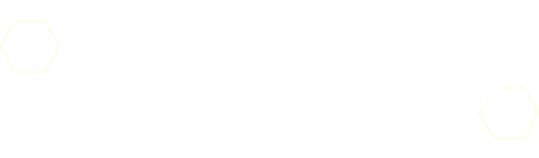 テイマーの下に置かれた裏向きのカードを使って様々な効果を発揮！！