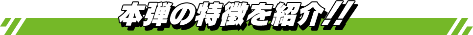 本弾の特徴を紹介