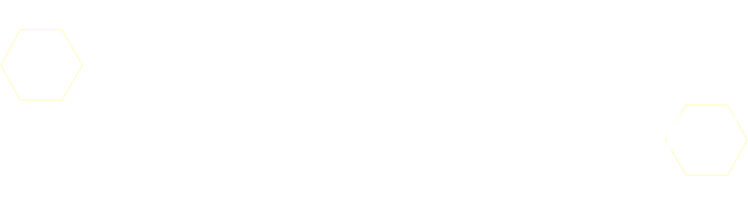 テイマーの下に置かれた裏向きのカードを使って様々な効果を発揮！！