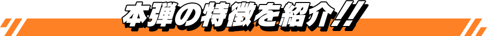 本弾の特徴を紹介