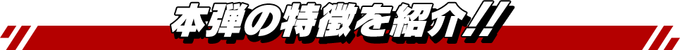 本弾の特徴をご紹介！