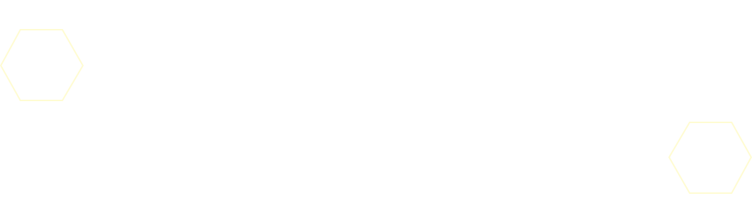 パートナーデジモンは新ギミック「DUALカード」で登場！
