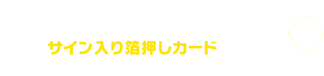 POINT3　超激レア！特別仕様のレアカードを収録！