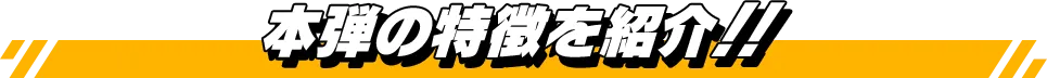 本弾の特徴を紹介